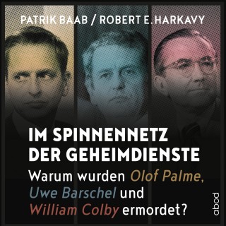 Patrik Baab, Robert E. Harkavy: Im Spinnennetz der Geheimdienste