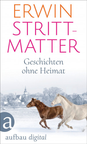 Erwin Strittmatter: Geschichten ohne Heimat