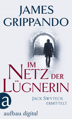 James Grippando: Im Netz der Lügnerin