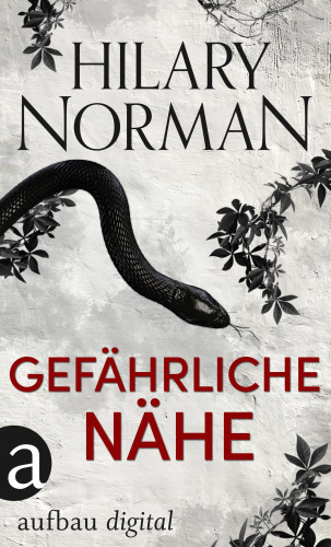 Hilary Norman: Gefährliche Nähe