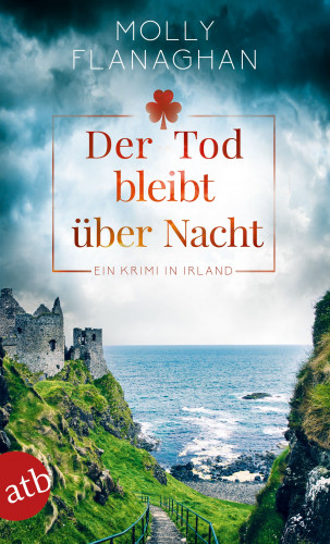 Molly Flanaghan: Fiona O'Connor ermittelt, Der Tod bleibt über Nacht