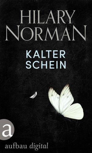 Hilary Norman: Kalter Schein