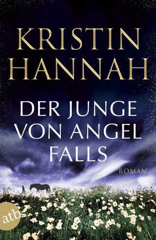 Kristin Hannah: Der Junge von Angel Falls