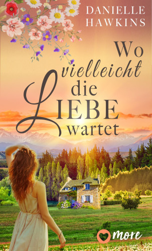 Danielle Hawkins: Wo vielleicht die Liebe wartet