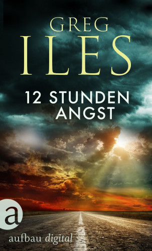 Greg Iles: 12 Stunden Angst