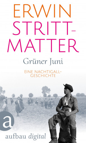 Erwin Strittmatter: Grüner Juni