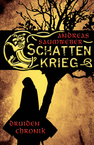 Andreas Saumweber: Schattenkrieg