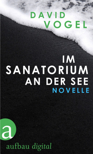 David Vogel: Im Sanatorium / An der See