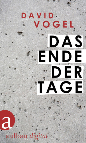 David Vogel: Das Ende der Tage