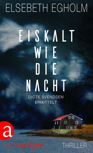 Elsebeth Egholm: Eiskalt wie die Nacht