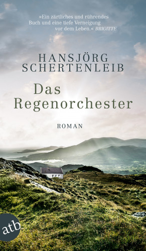 Hansjörg Schertenleib: Das Regenorchester