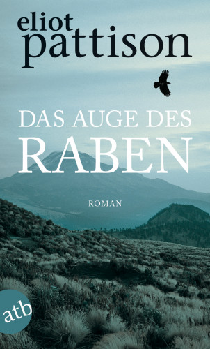 Eliot Pattison: Das Auge des Raben