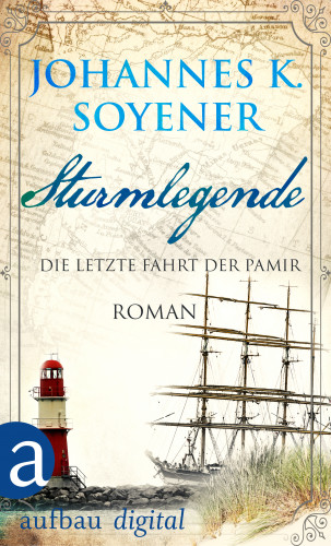 Johannes K. Soyener: Sturmlegende