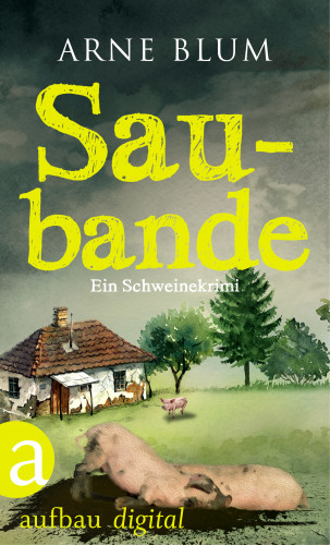 Arne Blum: Saubande