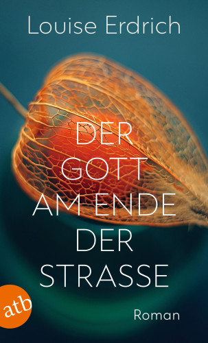 Louise Erdrich: Der Gott am Ende der Straße