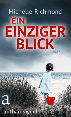 Michelle Richmond: Ein einziger Blick