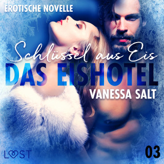 Vanessa Salt: Das Eishotel 3 - Schlüssel aus Eis - Erotische Novelle