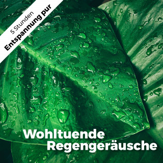 Martin Melzer: Wohltuende Regengeräusche