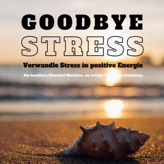 Institut für Stressmanagement: Goodbye Stress: Verwandle Stress in positive Energie (Stressreduktion, Stressmanagement)