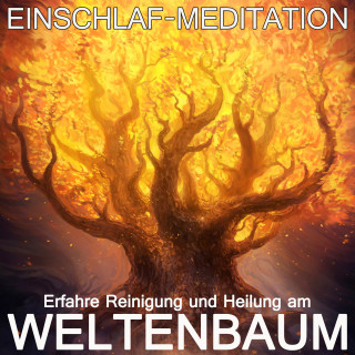 Raphael Kempermann: Erfahre Reinigung und Heilung am Weltenbaum