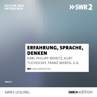 Karl Philipp Moritz, Kurt Tucholsky, Stefan Grossmann, Franz Werfel: Erfahrung, Sprache, Denken