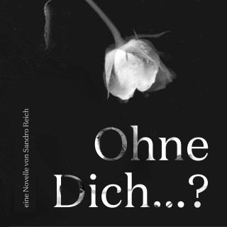 Sandro Reich: Ohne Dich...?