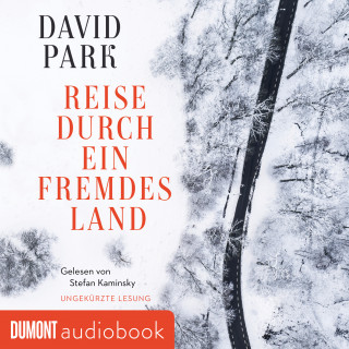 David Park: Reise durch ein fremdes Land