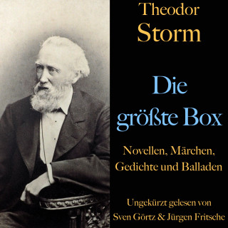 Theodor Storm: Theodor Storm: Die größte Box