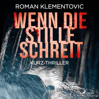 Roman Klementovic: Wenn die Stille schreit