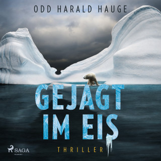 Odd Harald Hauge: Gejagt im Eis - Thriller