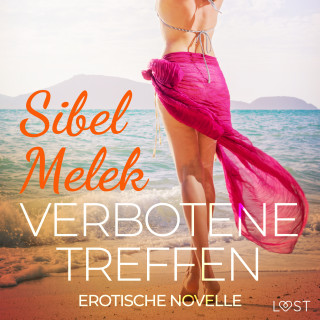 Sibel Melek: Verbotene Treffen - Erotische Novelle