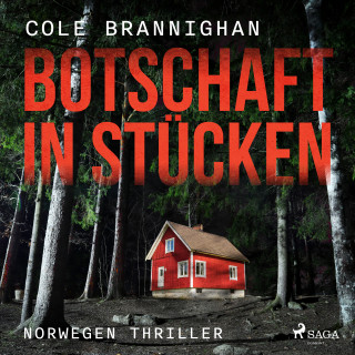 Cole Branninghan: Botschaft in Stücken: Norwegen-Thriller