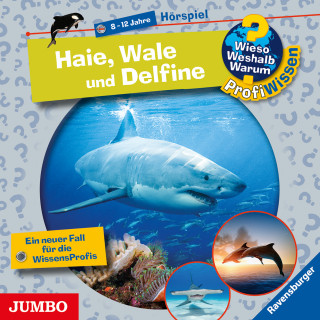 Diverse: Haie, Wale und Delfine [Wieso? Weshalb? Warum? PROFIWISSEN Folge 24]