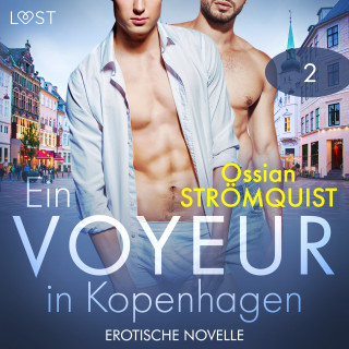 Ossian Strömquist: Ein Voyeur in Kopenhagen 2 - Erotische Novelle