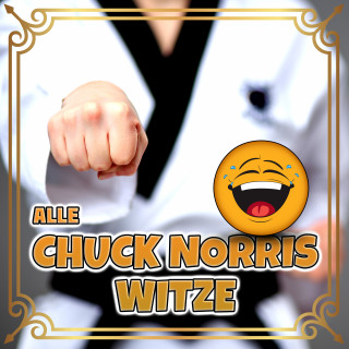 Der Spassdigga: Alle Chuck Norris Witze