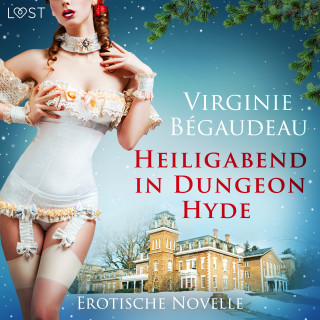 Virginie Bégaudeau: Heiligabend in Dungeon Hyde - Erotische Novelle