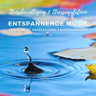 Stressmanagement Coaching: Stressbewältigung & Stressregulation: Entspannende Musik gegen Angst, Depressionen und Kopfschmerzen