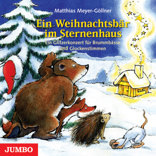 Matthias Göllner: Ein Weihnachtsbär im Sternenhaus