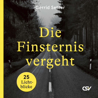 Gerrid Setzer: Die Finsternis vergeht