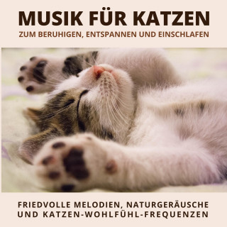 Verein der Katzenfreunde: Musik für Katzen zum Beruhigen, Entspannen und Einschlafen