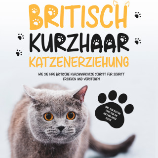 Britta Fährmann: Britisch Kurzhaar Katzenerziehung: Wie Sie Ihre britische Kurzhaarkatze Schritt für Schritt erziehen und verstehen – inkl. der besten Tipps für die Haltung Ihrer Katze