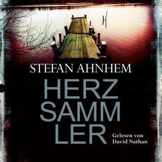 Stefan Ahnhem: Herzsammler (Ein Fabian-Risk-Krimi 2)