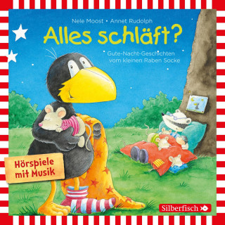 Nele Moost, Annet Rudolph: Alles schläft? (Alles ohne Ende!, Alles Monster!, Alles verbummelt!, Alles besser!) (Der kleine Rabe Socke)