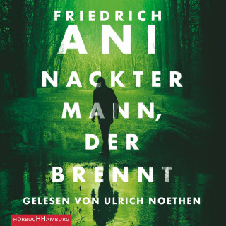 Friedrich Ani: Nackter Mann, der brennt