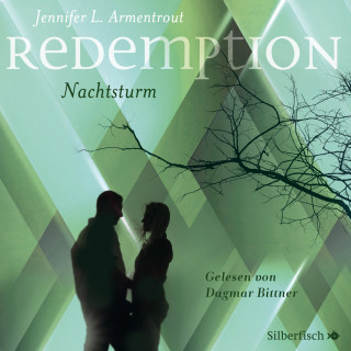 Jennifer L. Armentrout: Redemption. Nachtsturm (Revenge 3)