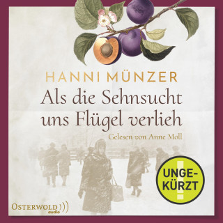 Hanni Münzer: Als die Sehnsucht uns Flügel verlieh (Heimat-Saga 2)