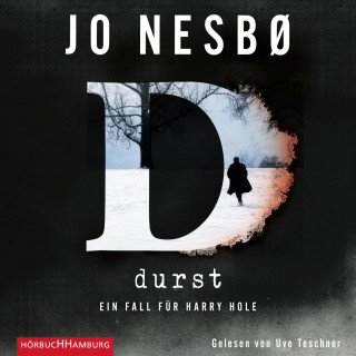 Jo Nesbø: Durst (Ein Harry-Hole-Krimi 11)