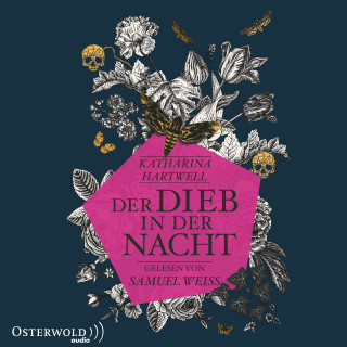 Katharina Hartwell: Der Dieb in der Nacht