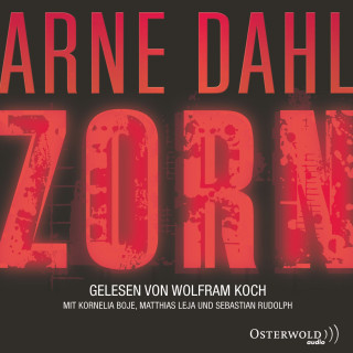 Arne Dahl: Zorn (Opcop-Gruppe 2)