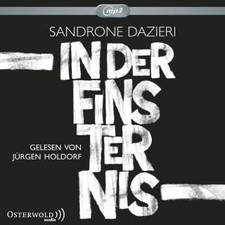 Sandrone Dazieri: In der Finsternis